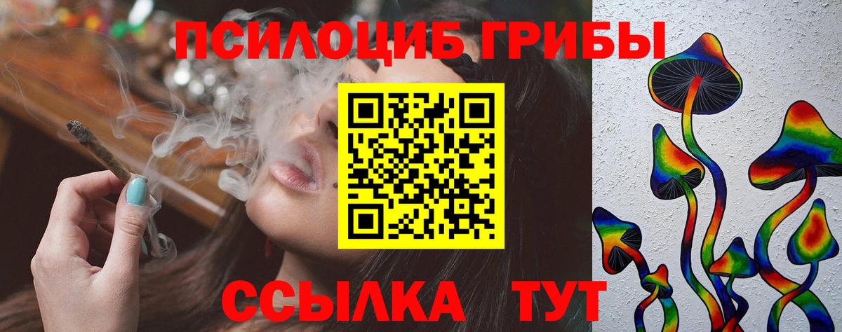 Псилоцибиновые грибы Psilocybine cubensis Миасс